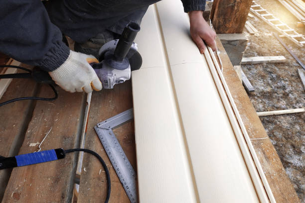 Best Aluminum Siding Installation  in Juno Beach, FL