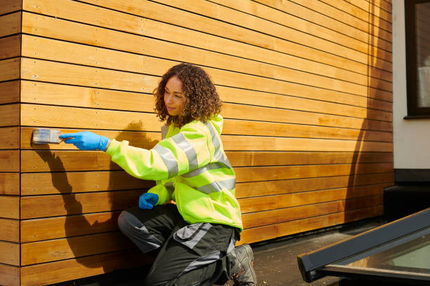 Best Insulated Siding Installation  in Juno Beach, FL